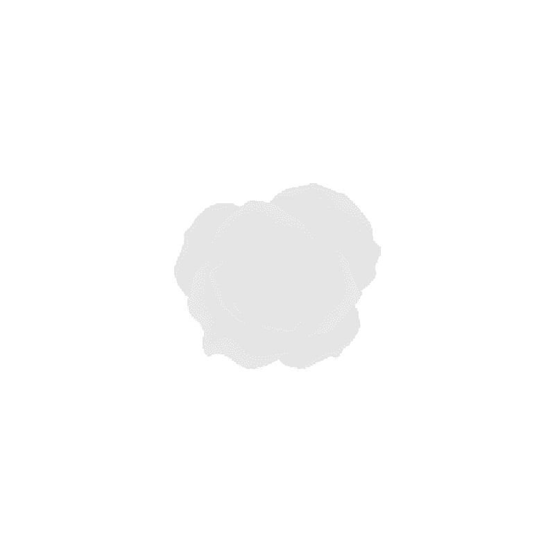 4D01 - BRANCO - 5G
