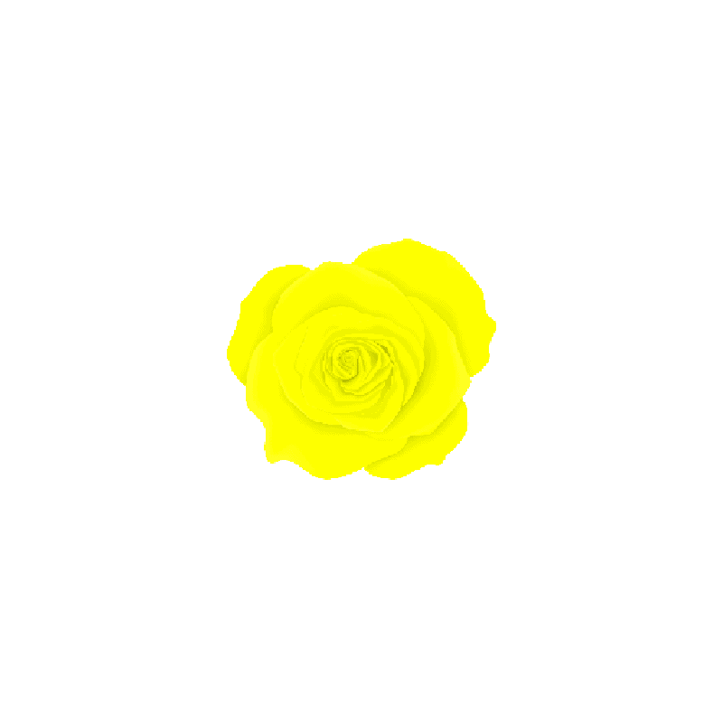 4D46 - MANHÃ DE PRIMAVERA - 5g