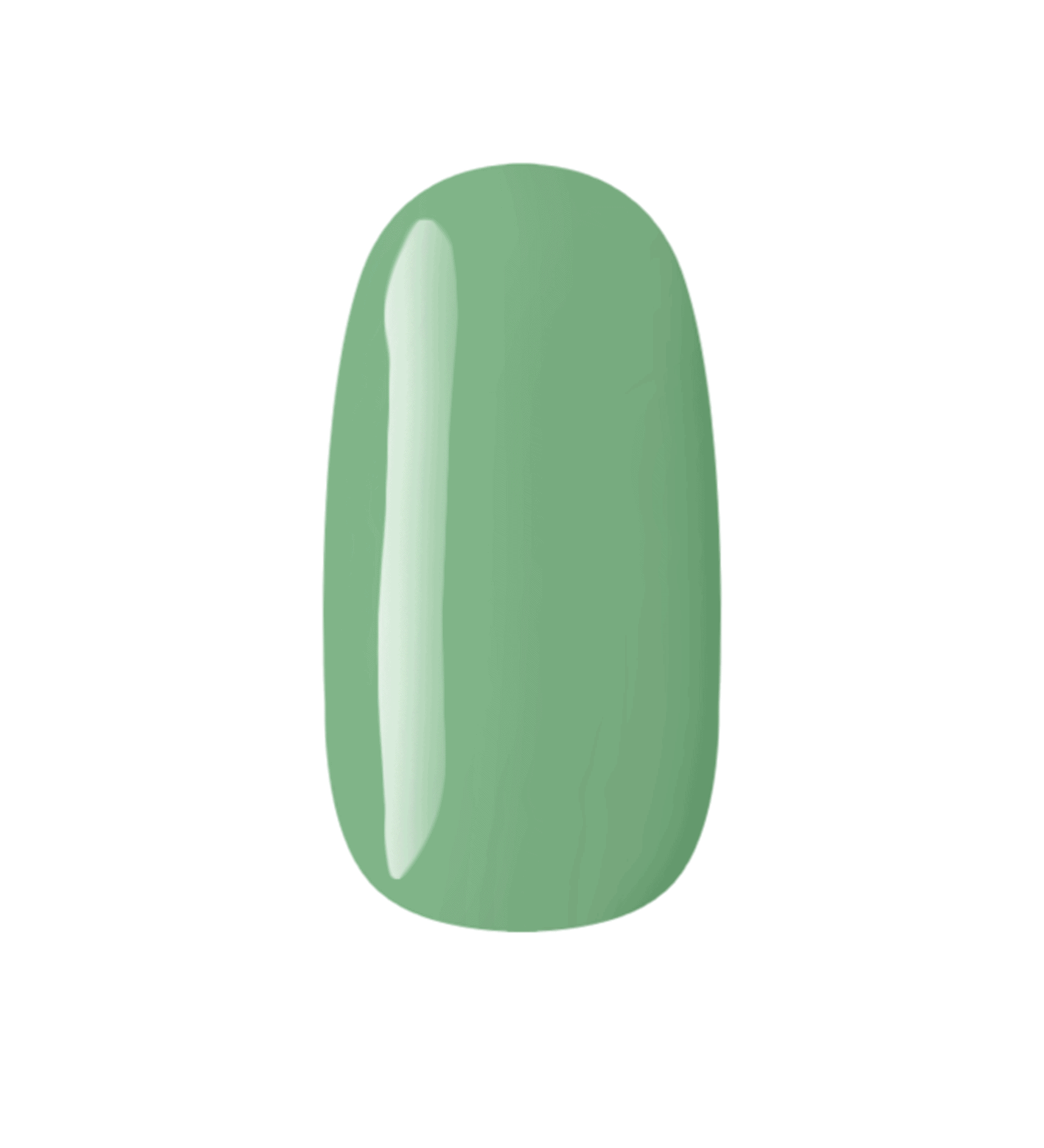 C156 - COLOR VERDE PICNIC