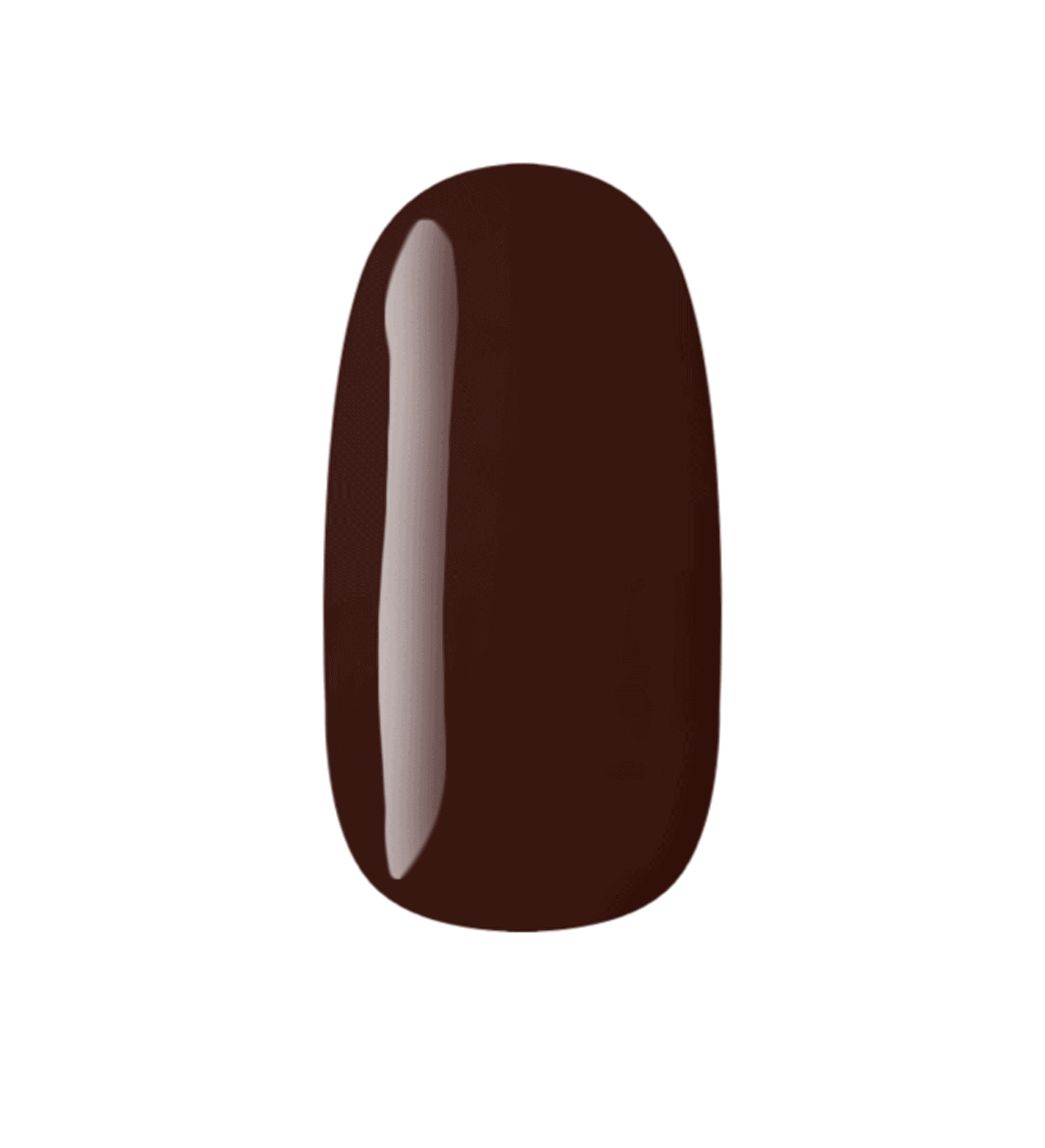 C242 - COLOR MARRÓN 8ml