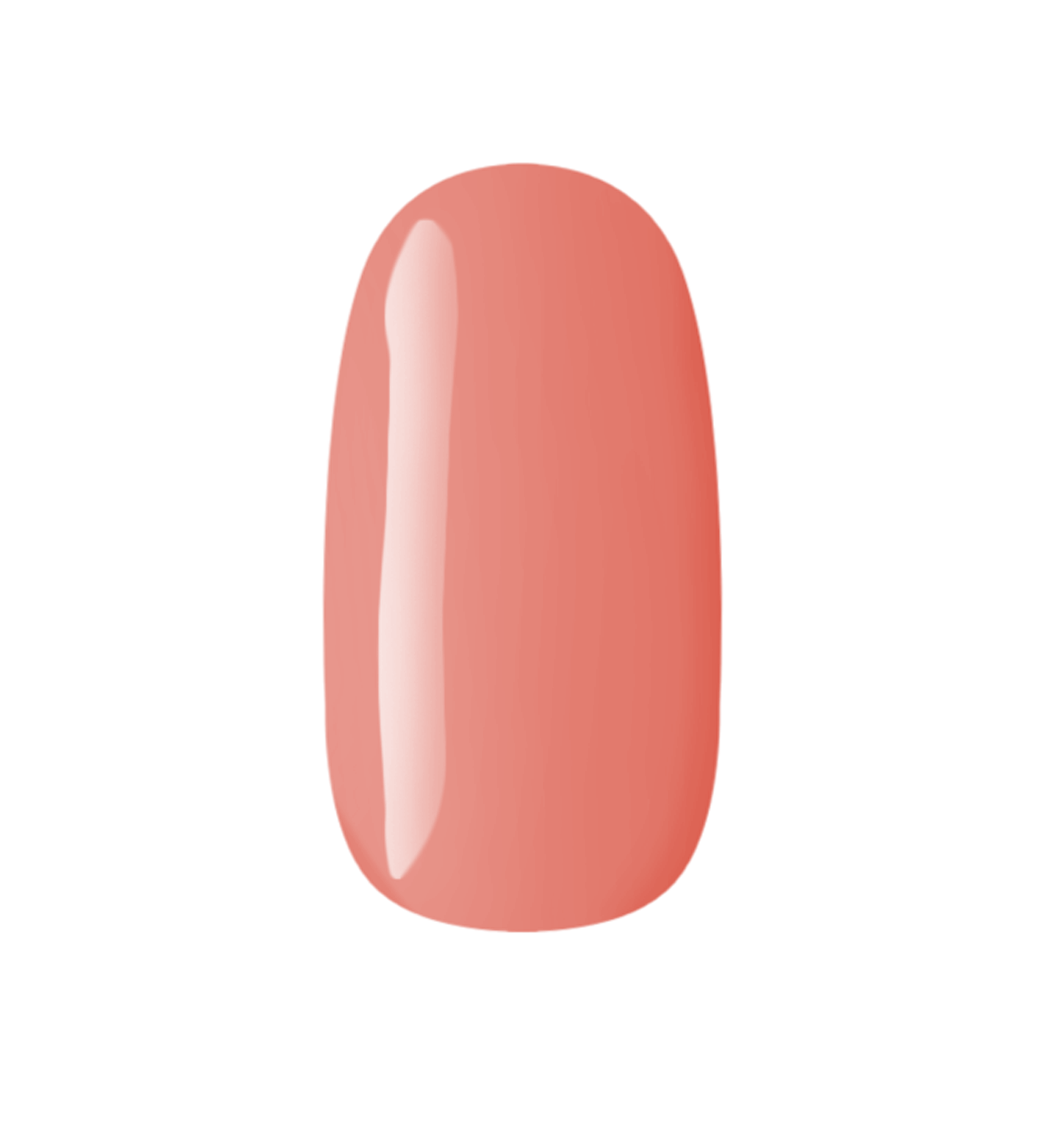 SP19 - STAMP'AINT COLOR 19 - FLOR DE CREPOM - 5G