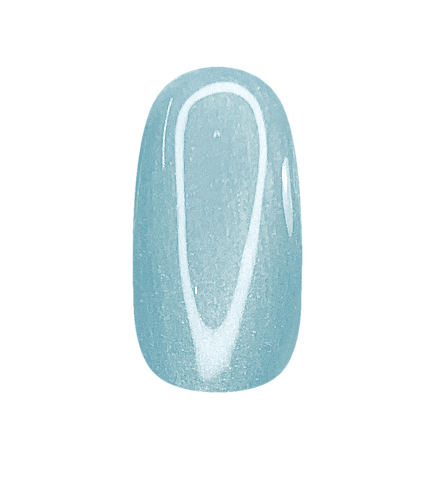 SS8 - CONCHAS DE MAR CANTANDO BAJO LA LLUVIA - 8g