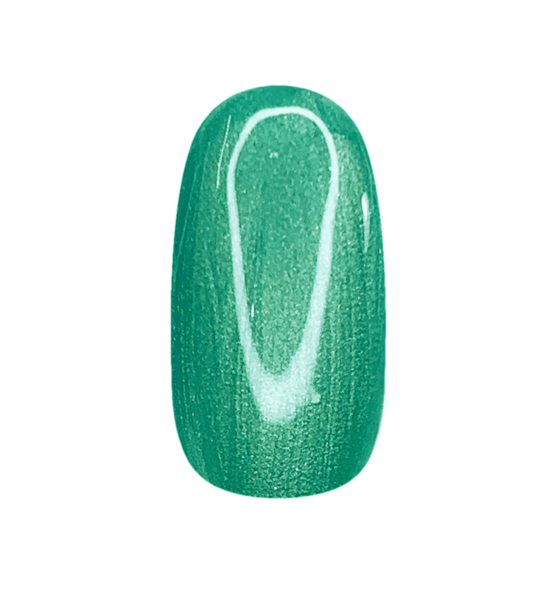 SS9 - CONCHA DE MAR PEDRA DO MAR - 8gr