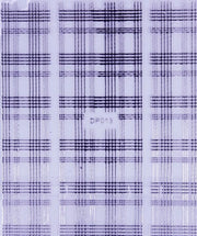PEGATINA - ESTILO CHIC PLATA - DP013S