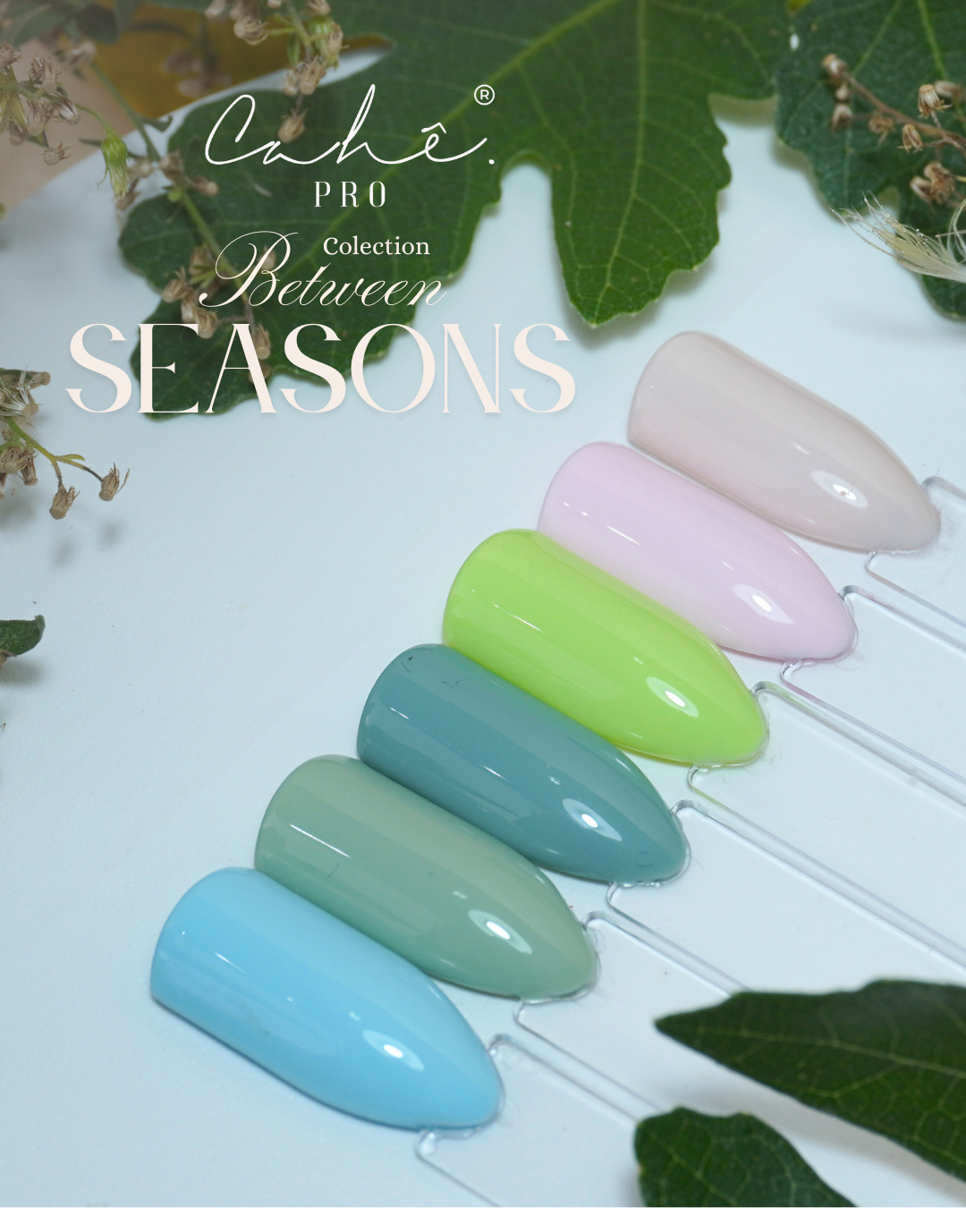 COLEÇÃO BETWEEN SEASONS