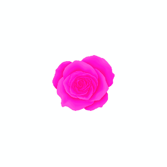 4D26 - FÚCSIA NEON - 5g