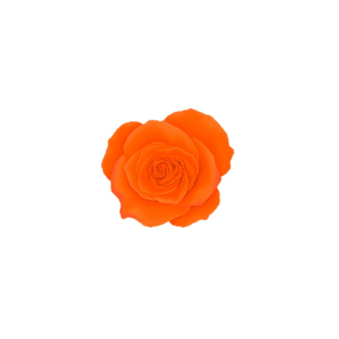 4D39 - TANGERINE - 5g