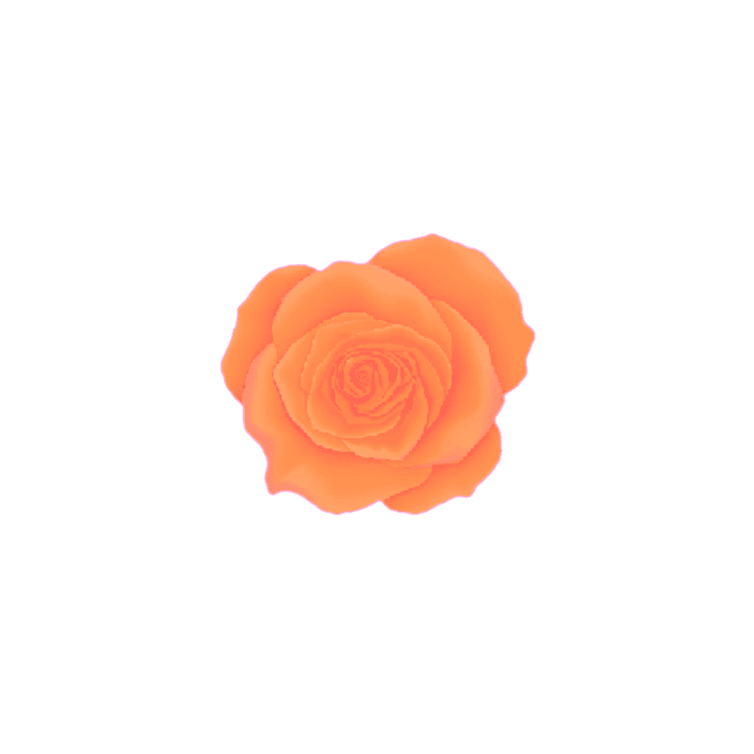 4D40 - AMBER PERFUME - 5g