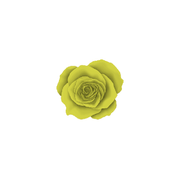 4D45 - STAGE GREEN - 5g