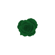 4D47 - COCONUT GREEN - 5g