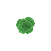 4D48 - EMERALD - 5g