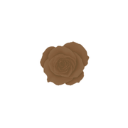 4D37 - HAZELNUT CREAM - 5g