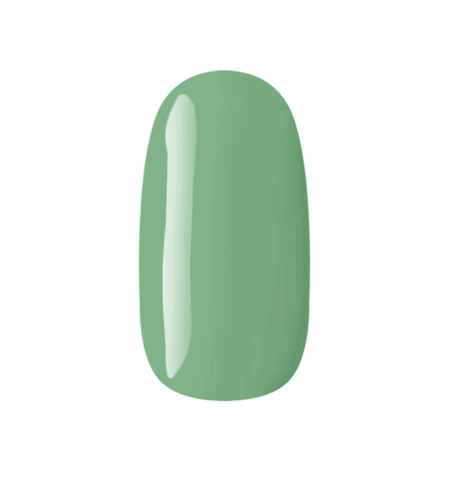 C156 - COR VERDE PIQUENIQUE