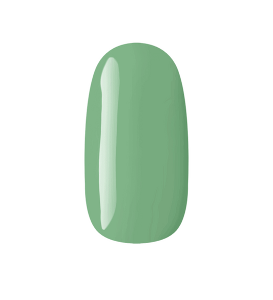 C156 - COR VERDE PIQUENIQUE