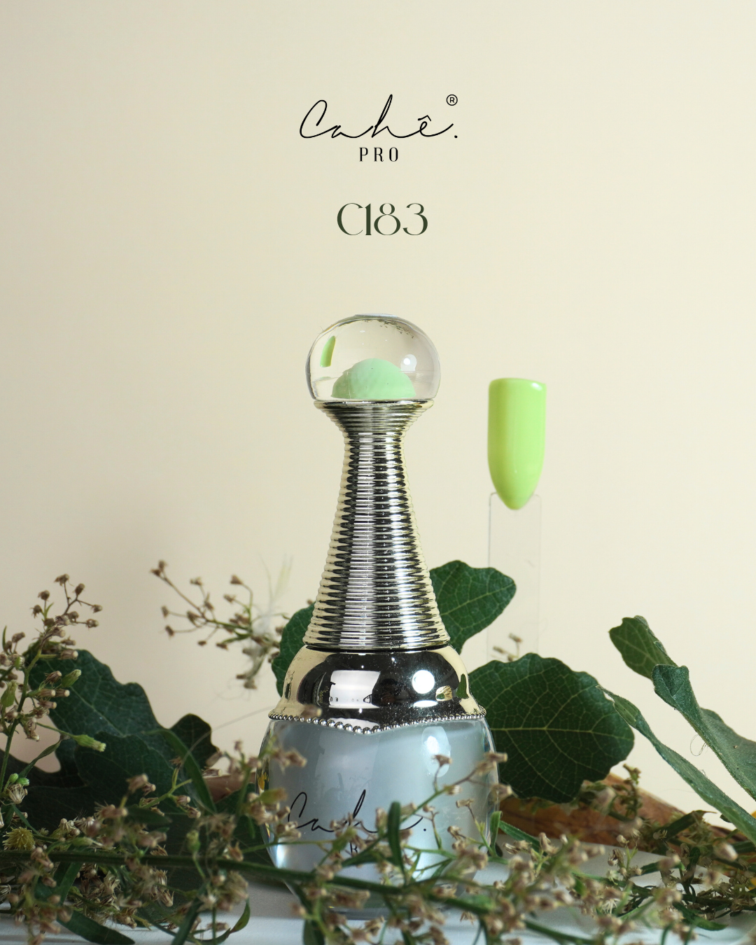 COLEÇÃO BETWEEN SEASONS