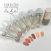 COLOR COLLECTION 2024