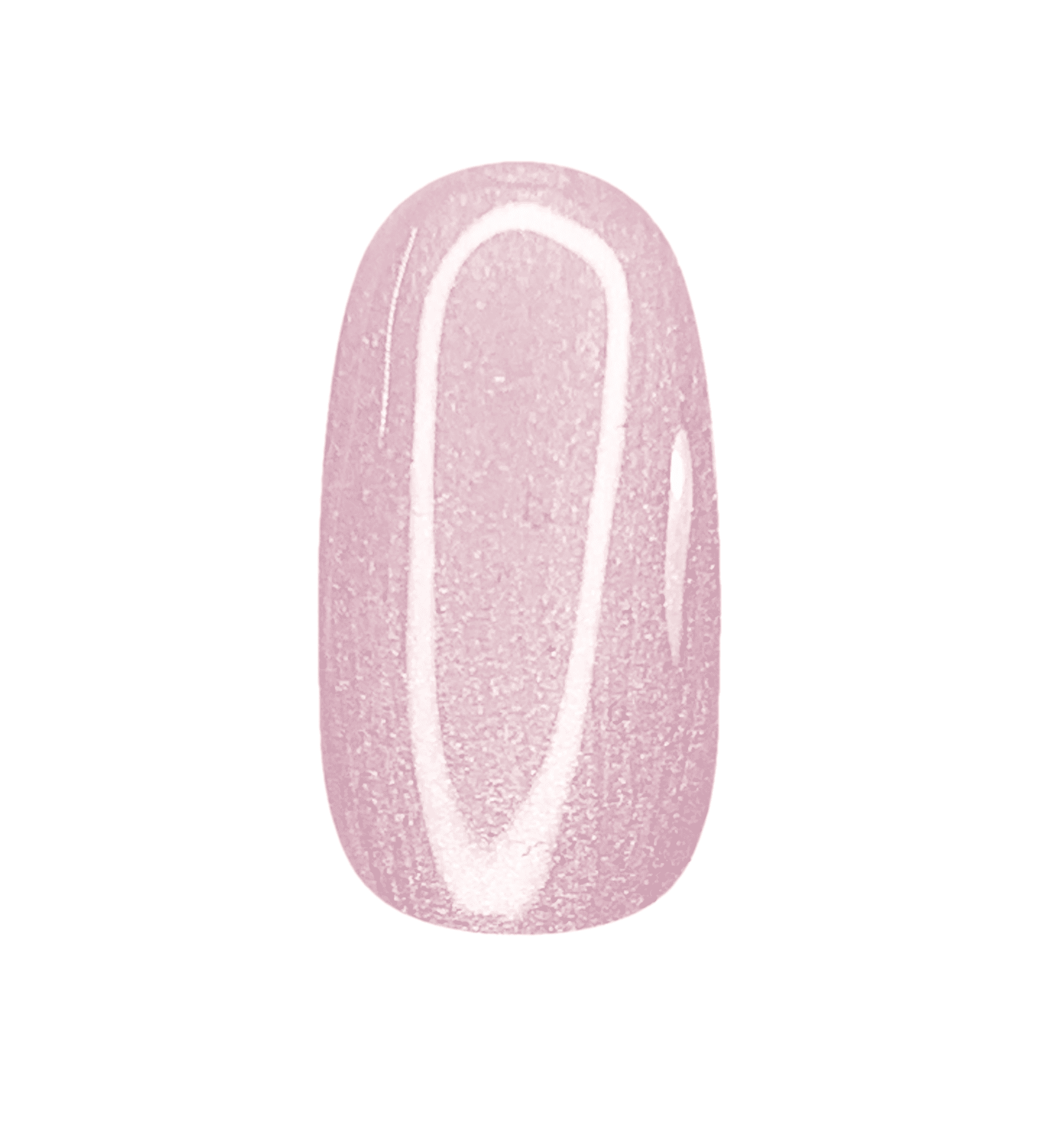 SS2 - SEA SHELL DAMA PINK - 8gr