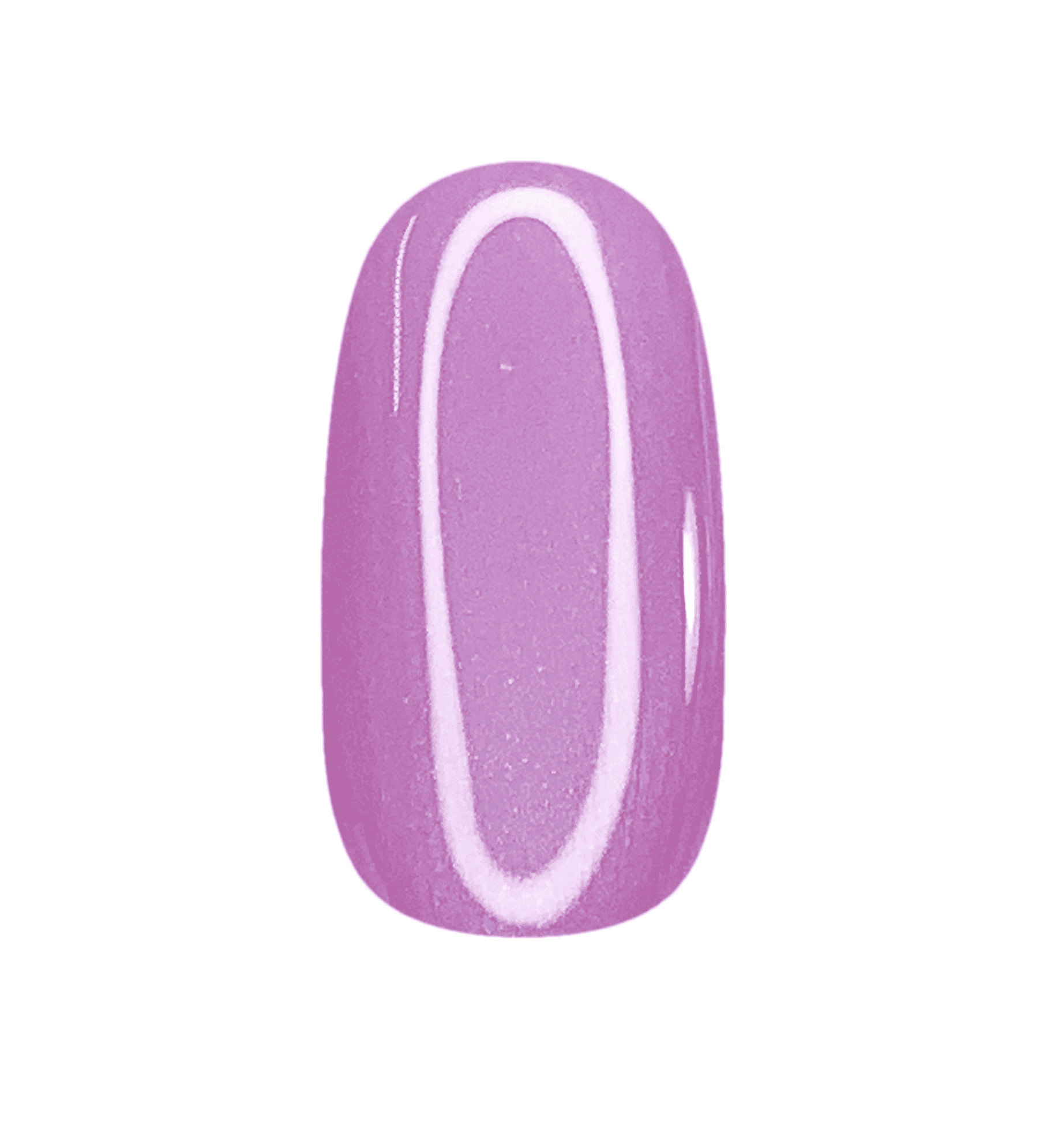 SS4 - IRRESISTIBLE SEA SHELL - 8gr