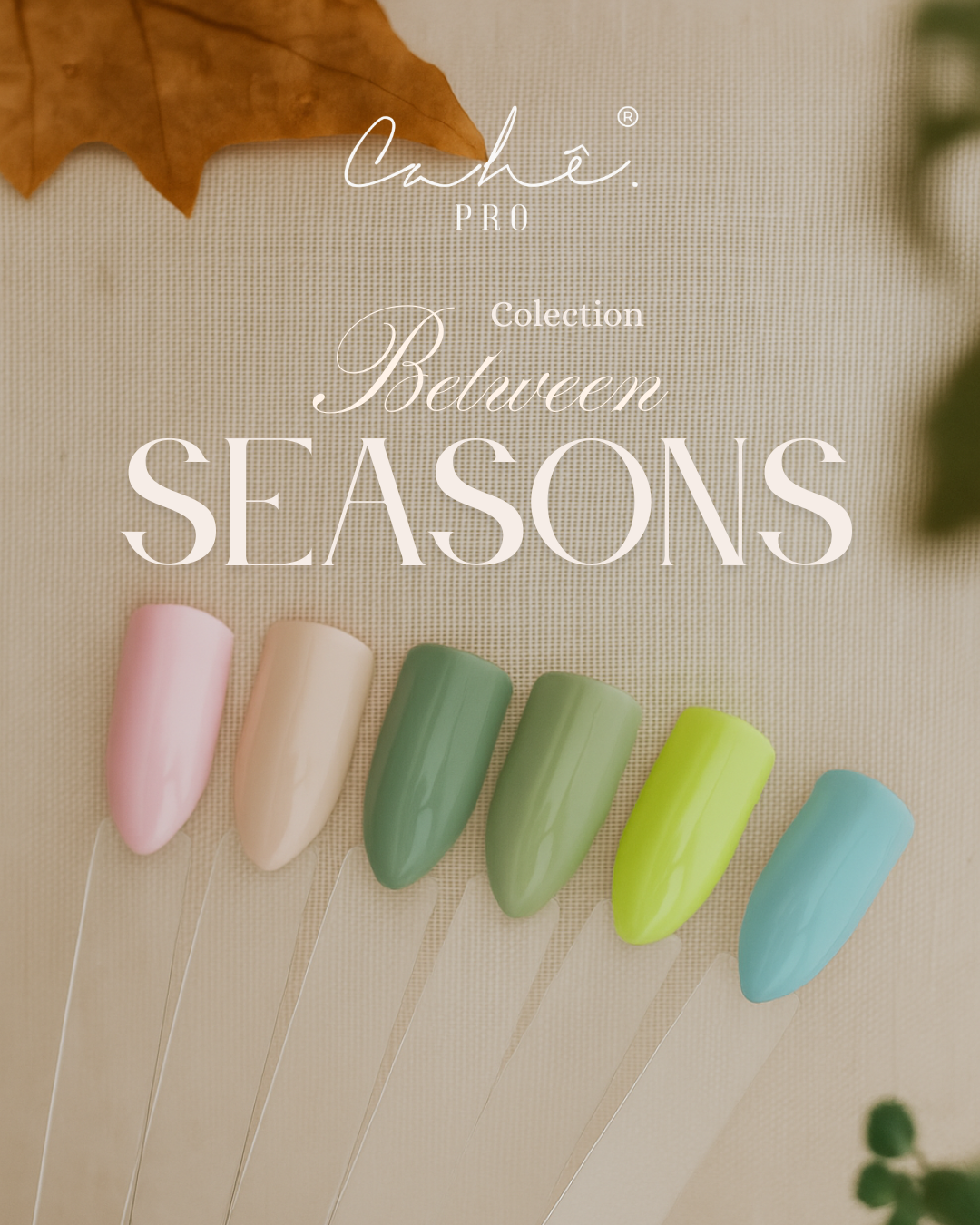 COLEÇÃO BETWEEN SEASONS